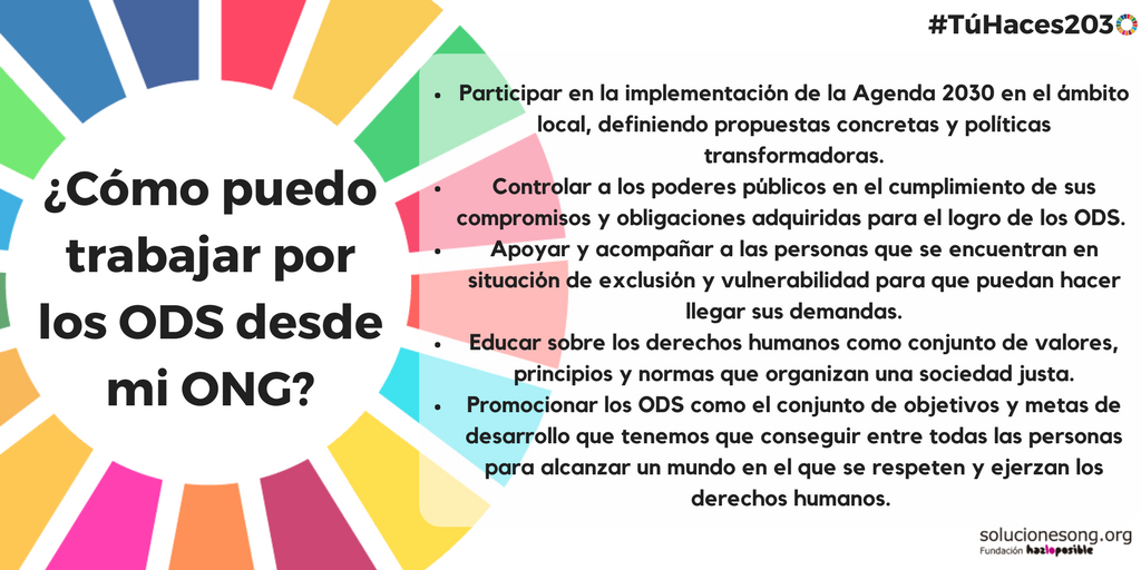 ods ongs agenda 2030 desarrollo sostenible