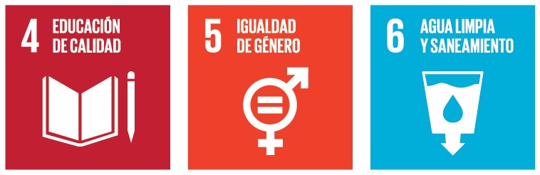 ods ongs agenda 2030 desarrollo sostenible