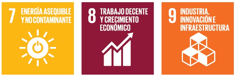 ods ongs agenda 2030 desarrollo sostenible