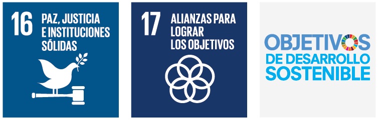 ods ongs agenda 2030 desarrollo sostenible