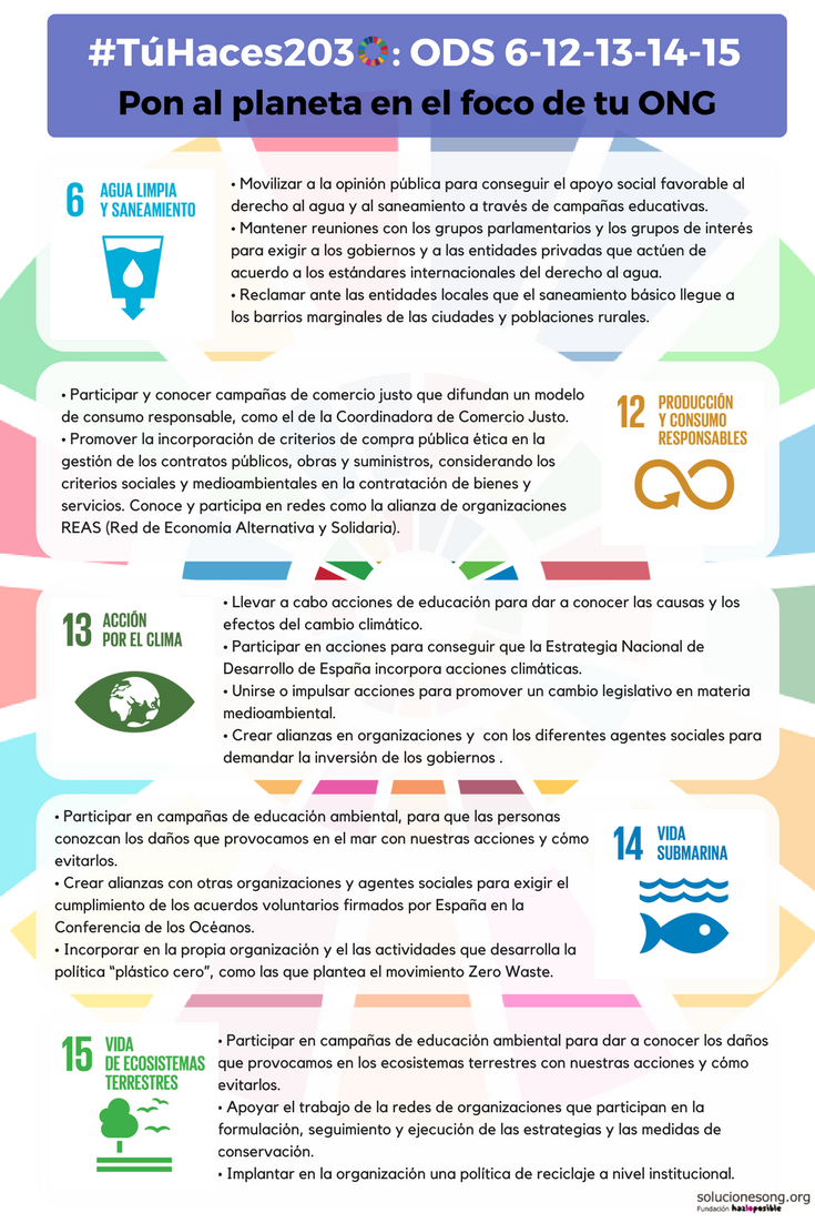 ods ongs agenda 2030 desarrollo sostenible