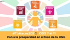 ods ongs agenda 2030 desarrollo sostenible